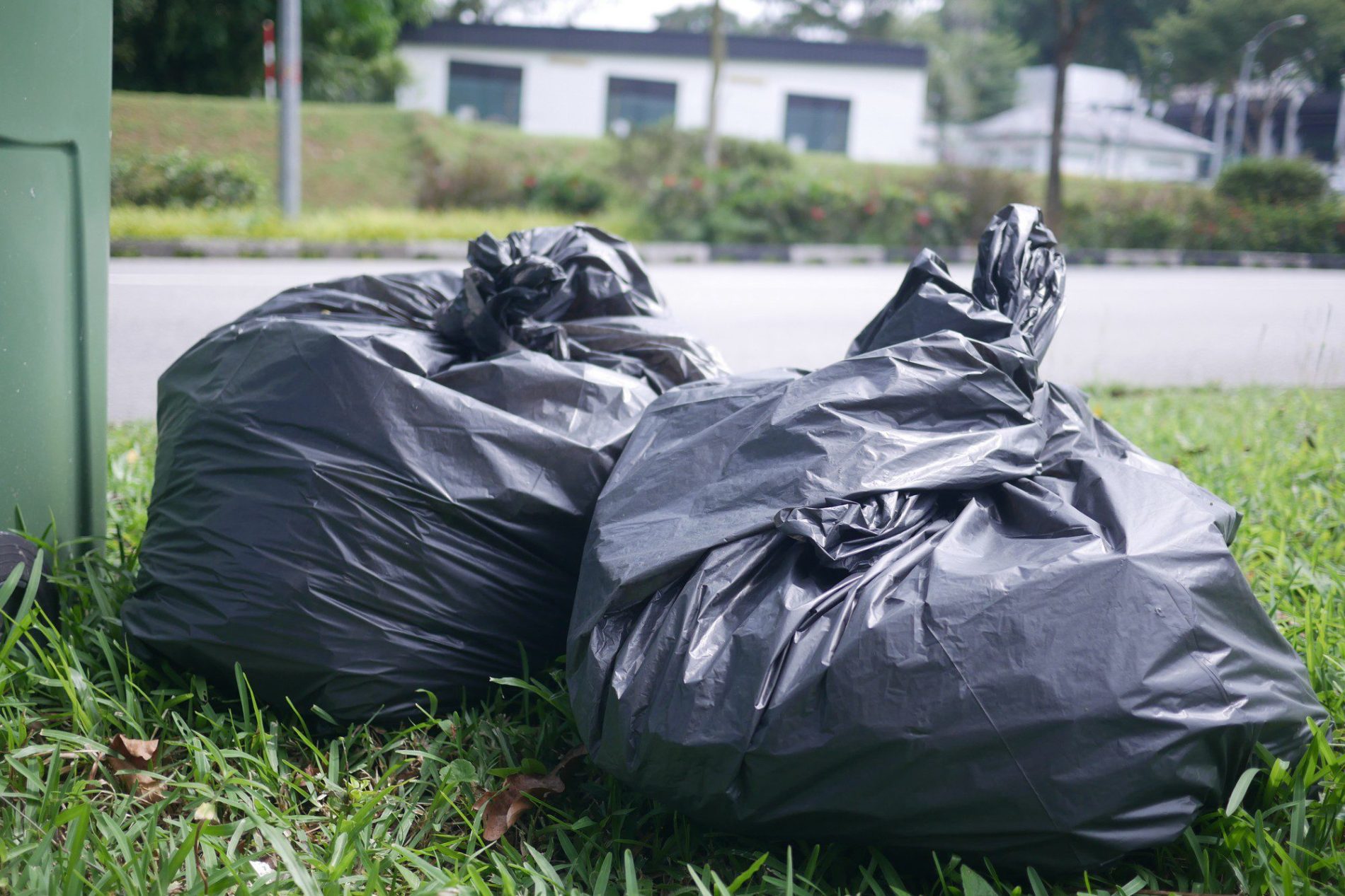 The image shows three full black rubbish bags resting on a patch of green grass. The bags appear to be tied at the top, indicating they are ready for collection. In the background, there's a road with what looks like the back of a street sign, and beyond the road, there are buildings partially obscured by vegetation. There are no people or animals visible in the image.