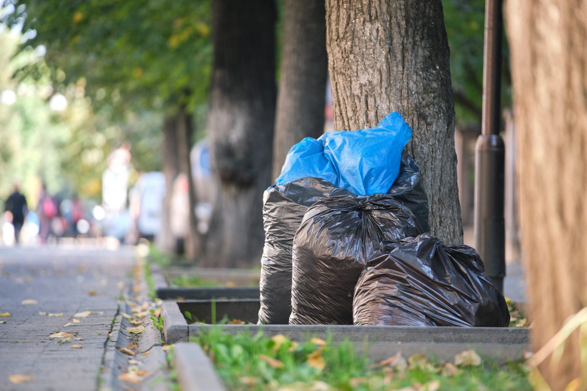 The image shows a sidewalk lined with trees. There are several trash bags clustered together at the base of a tree. One of the trash bags is blue and stands out against the other black bags. There appears to be dry fallen leaves scattered on the ground, indicating it might be autumn. In the background, the scene is out of focus, but it appears there are people and vehicles in the distance, suggesting this is an urban environment.